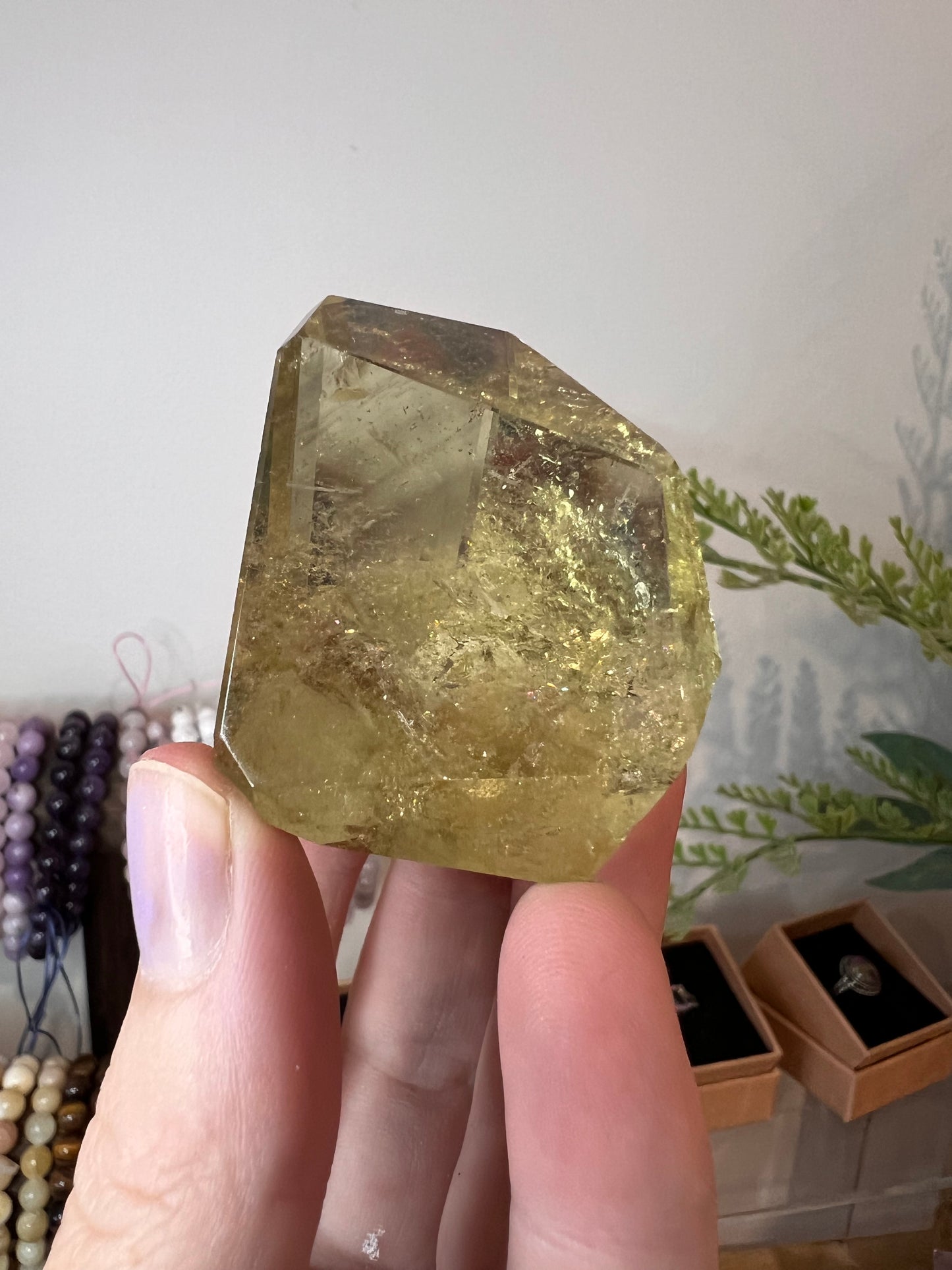 Citrine Freeform's rainbows & inclusions