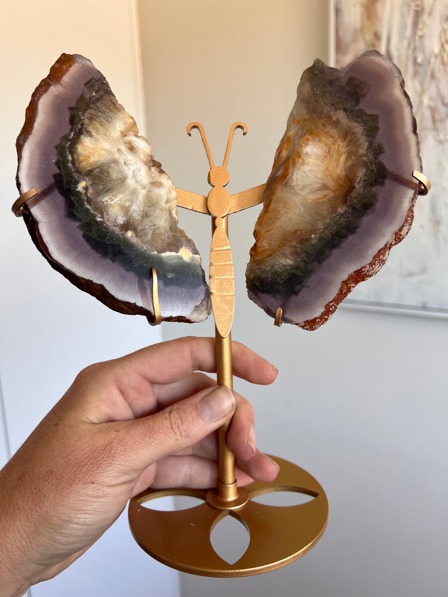 Fluorite pyrite rutile butterfly wings (unique ) 21cmH