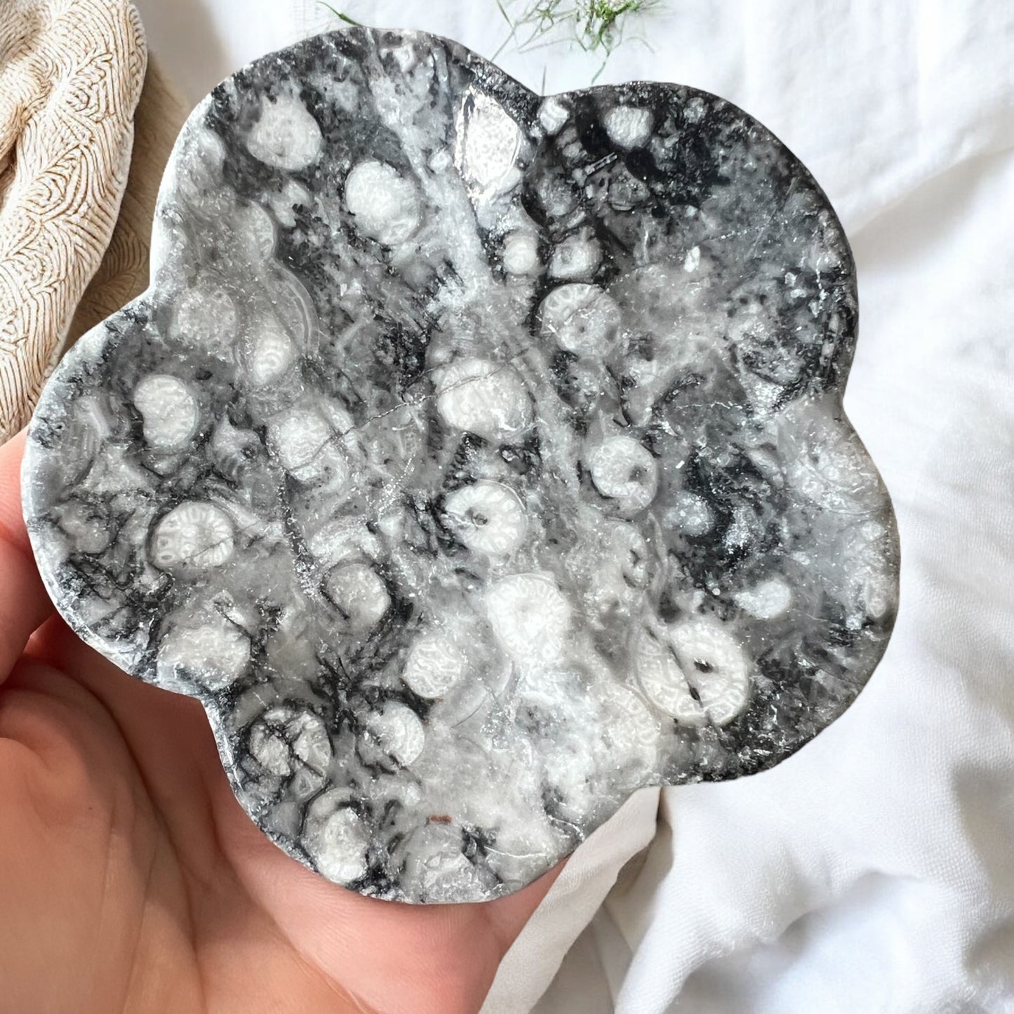 Fossil shell agate bowl