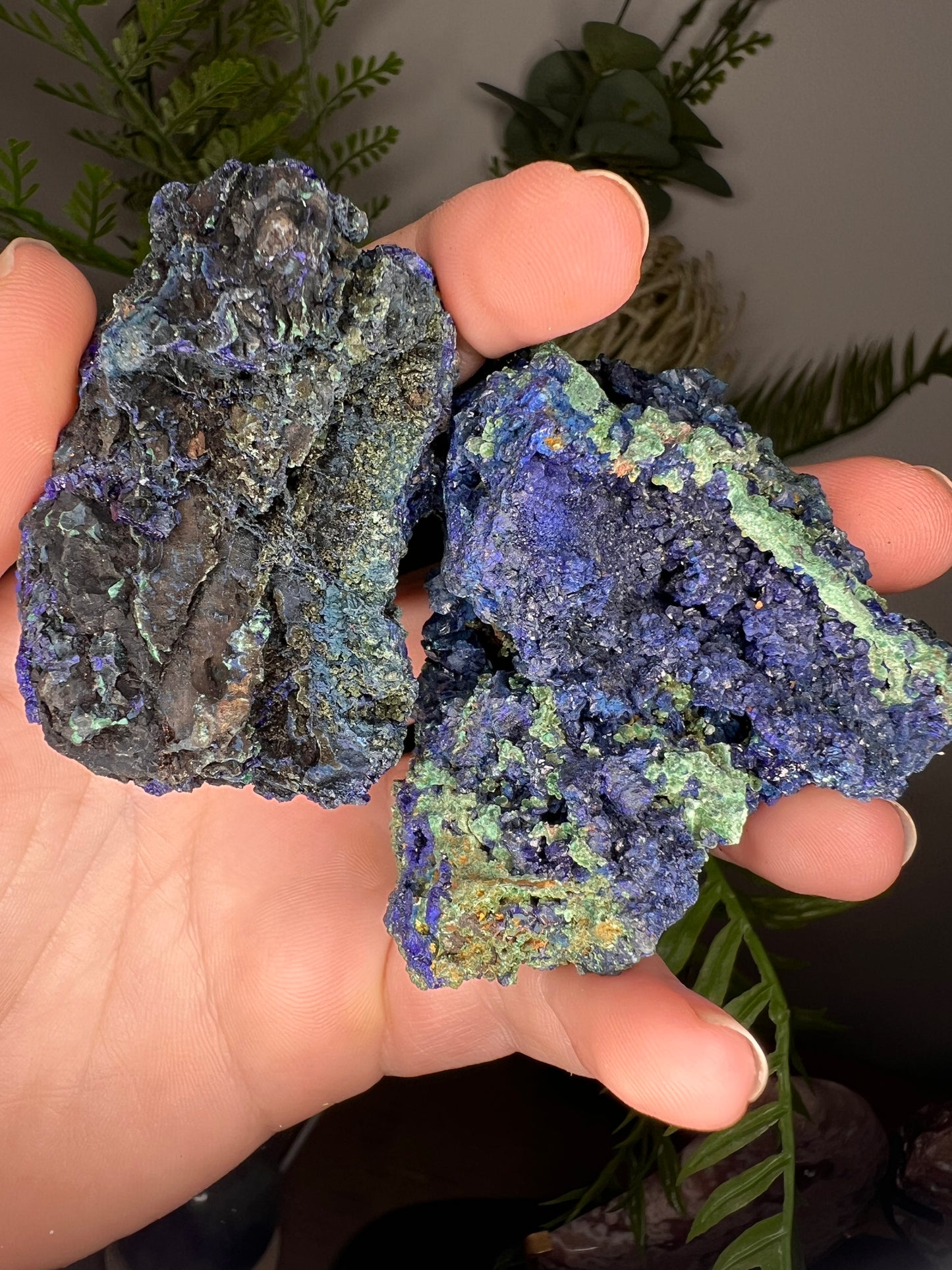 Azurite & Malachite specimens