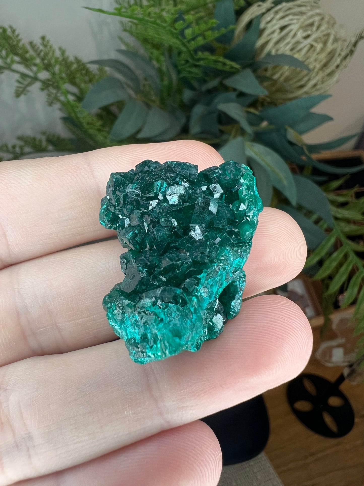 High quality dioptase specimen small