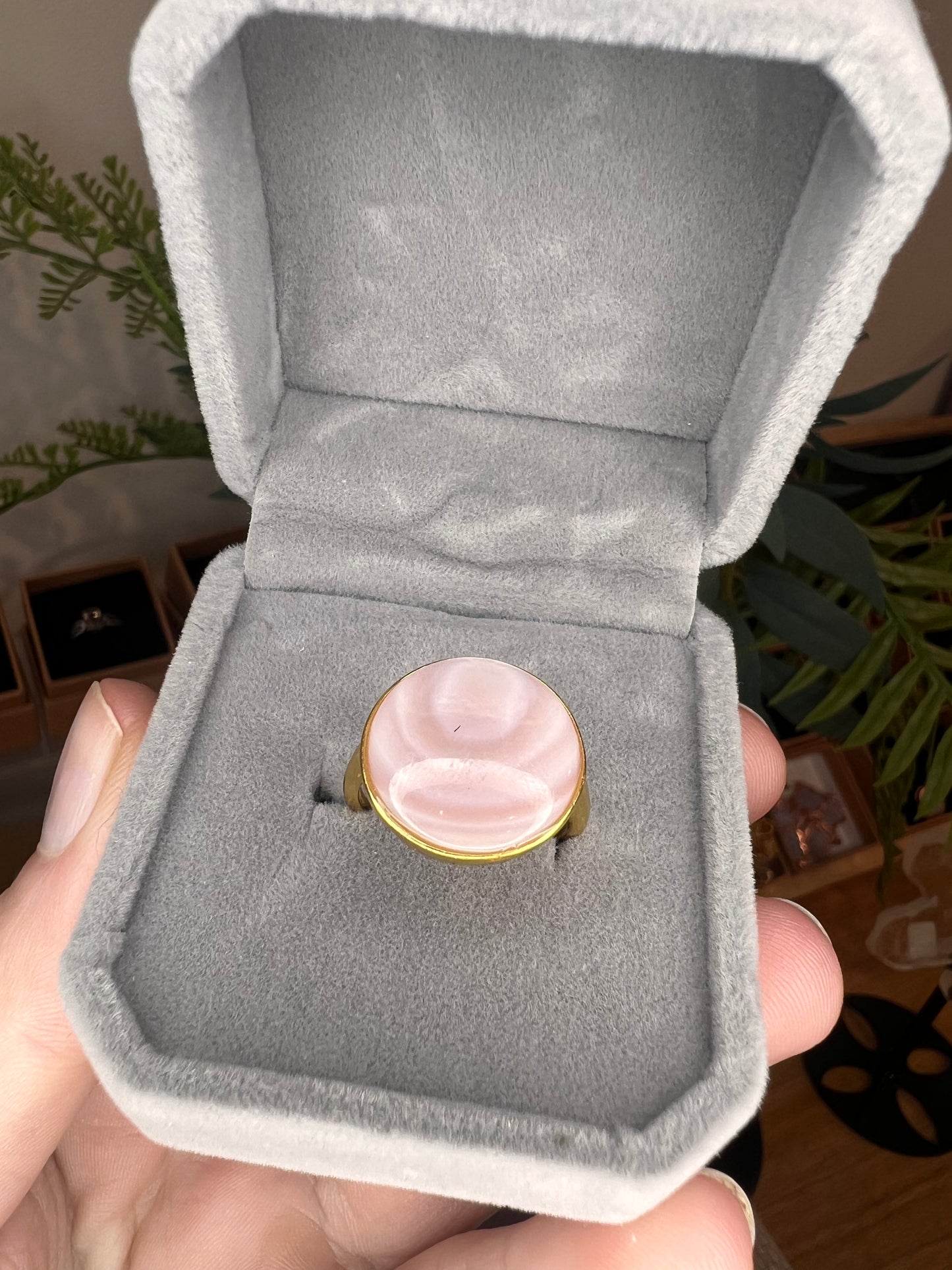 Conch shell gold plated 925 adjustable ring