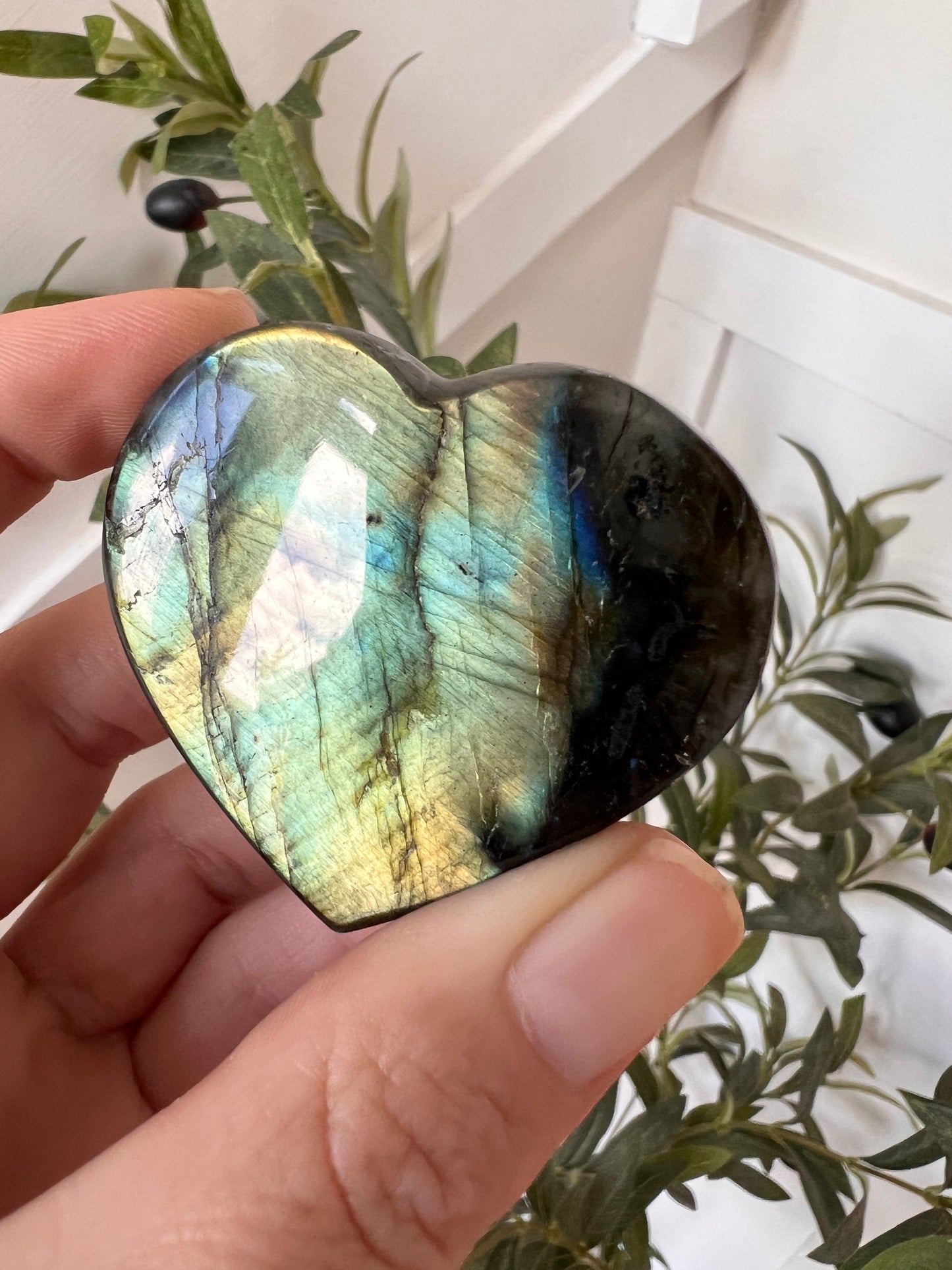 Madagascar Lab Chunky heart