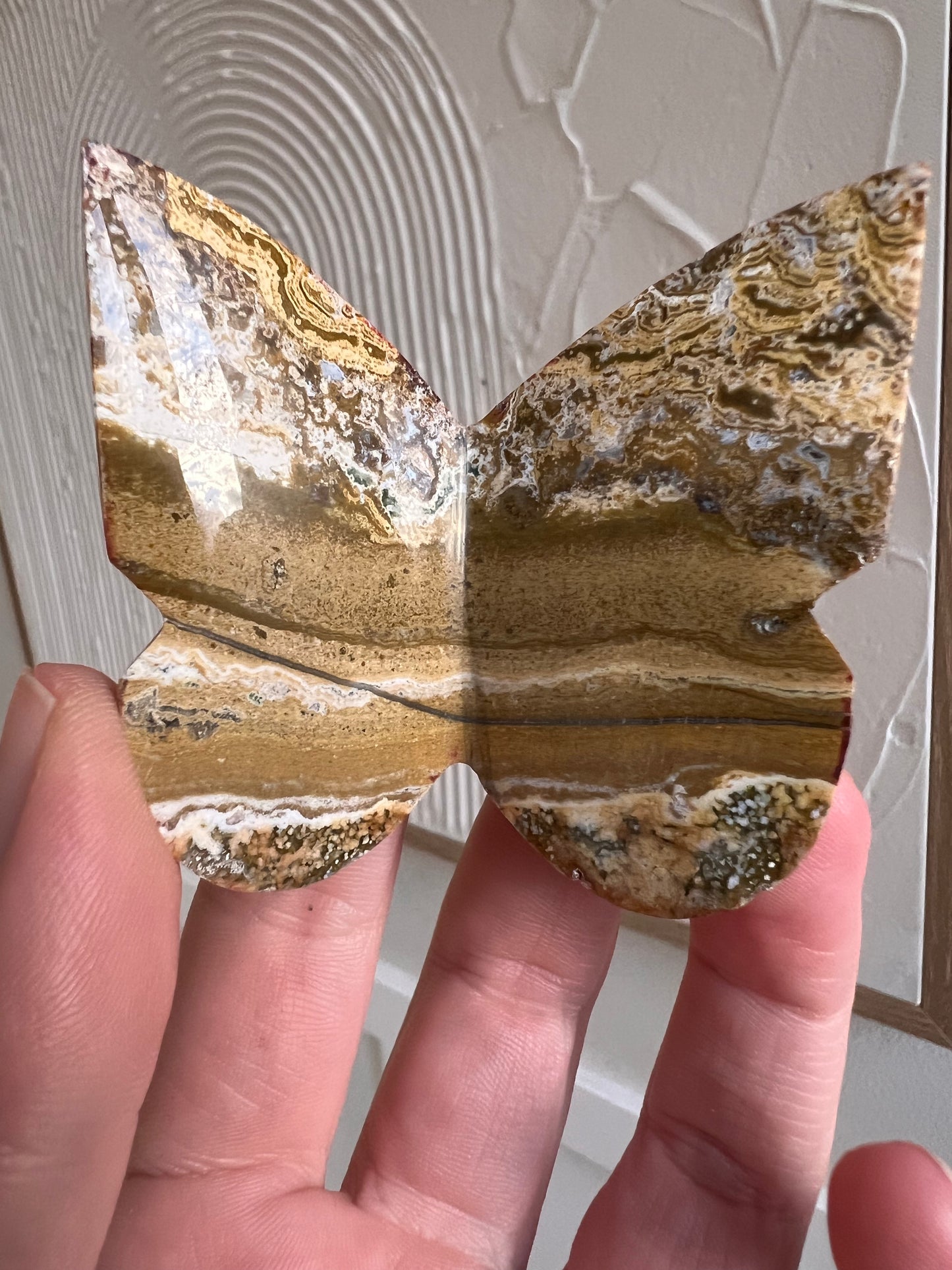 Ocean jasper 3D butterfly (Indonesia)