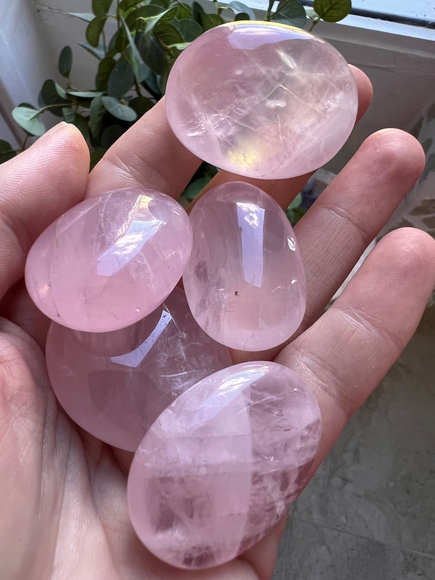 Madagascan star line gemy rose quartz palms