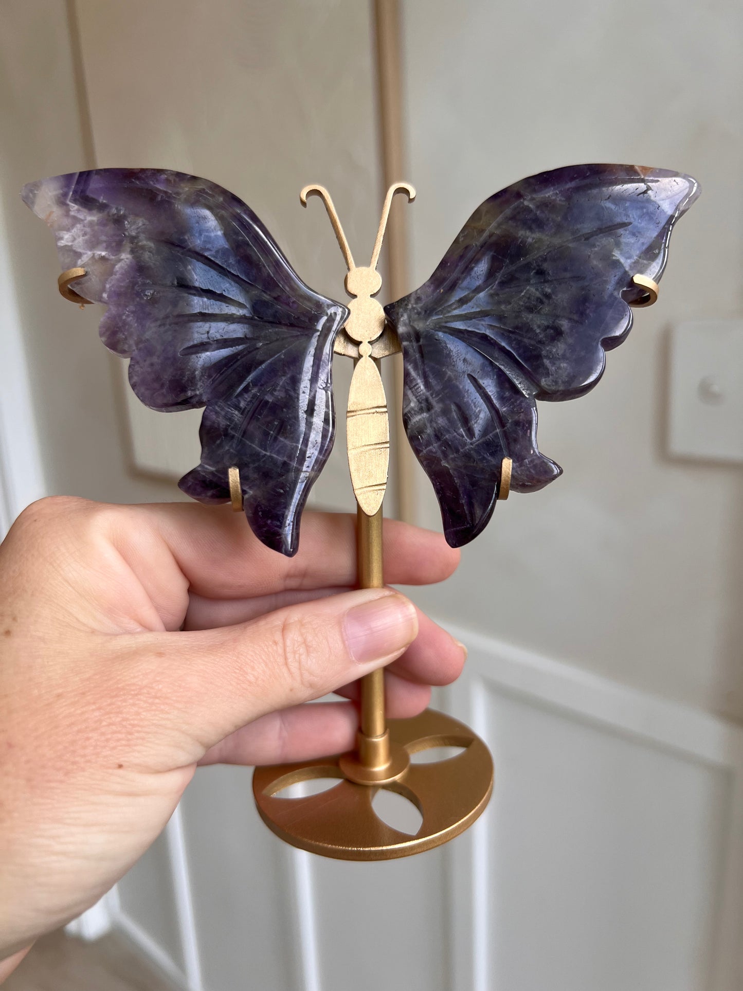 Amethyst butterfly wings
