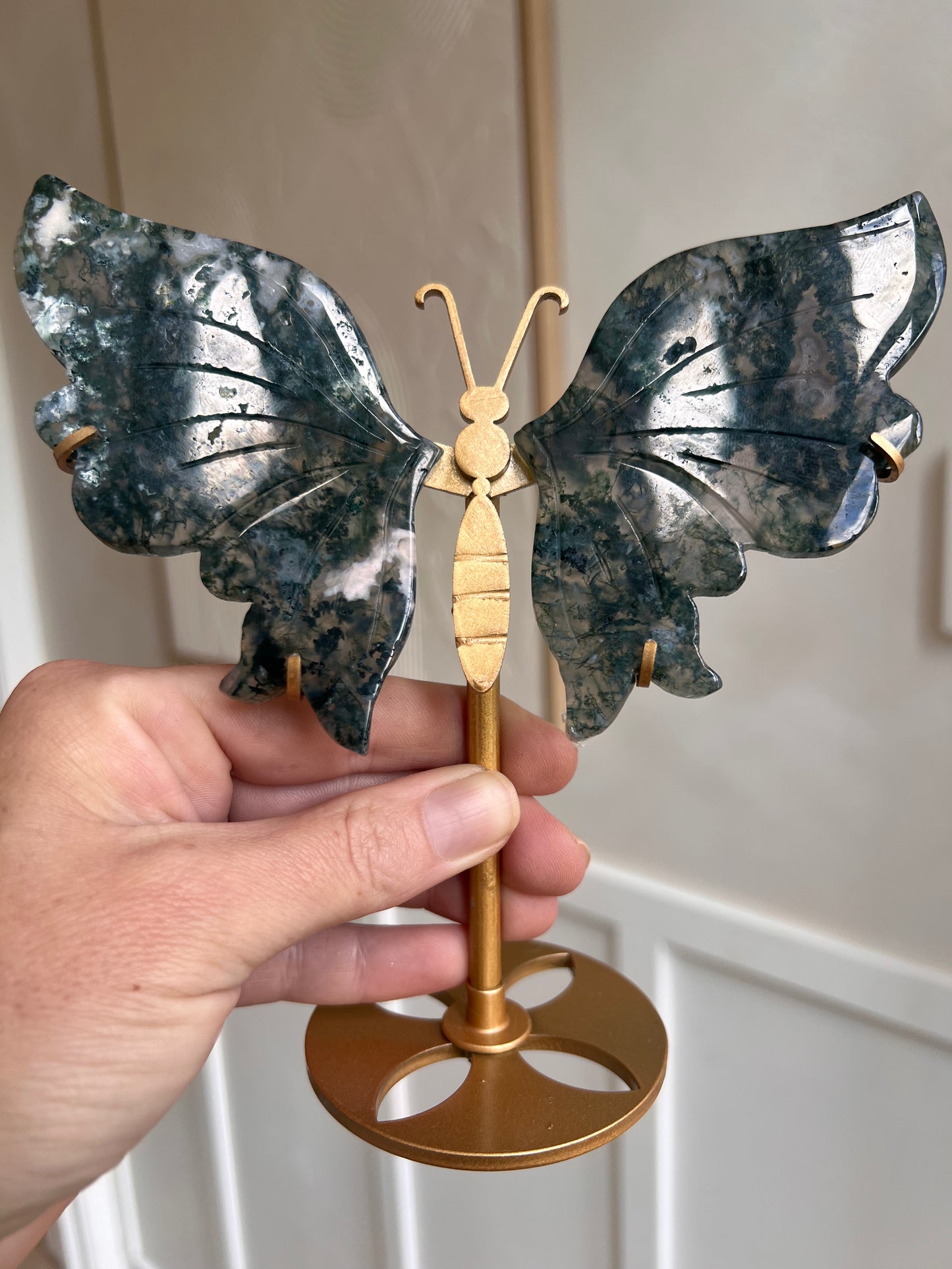 Beautiful moss agate butterfly wings
