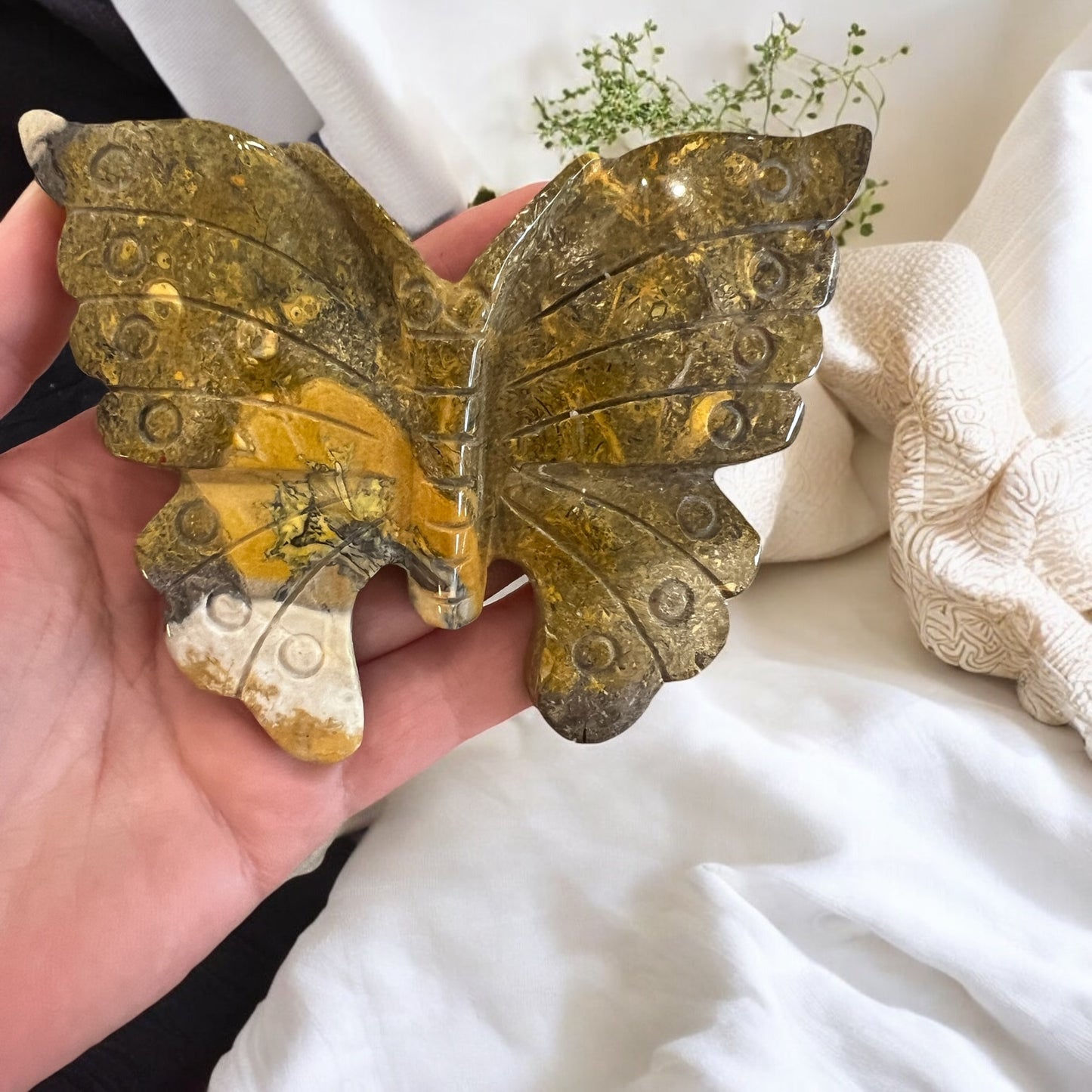 Ocean Jasper butterfly (42B)