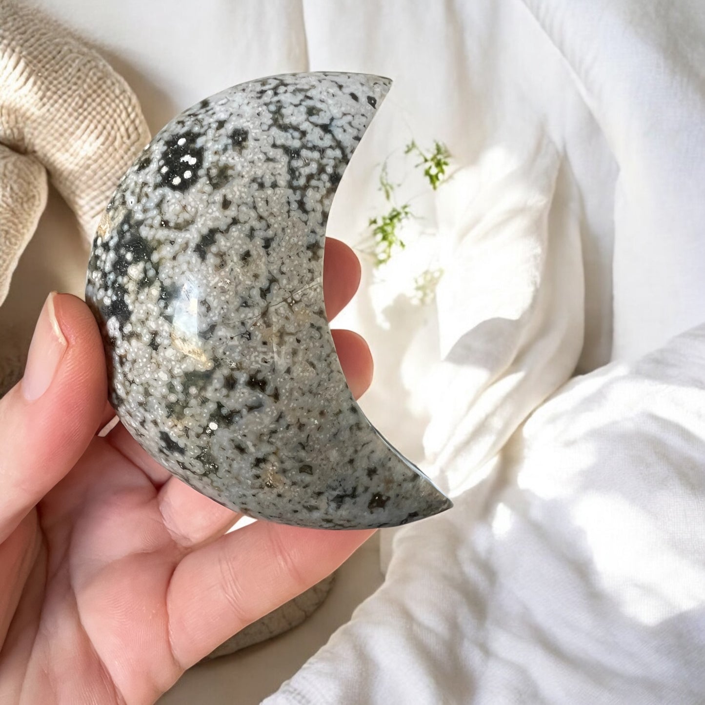 Ocean jasper moon
