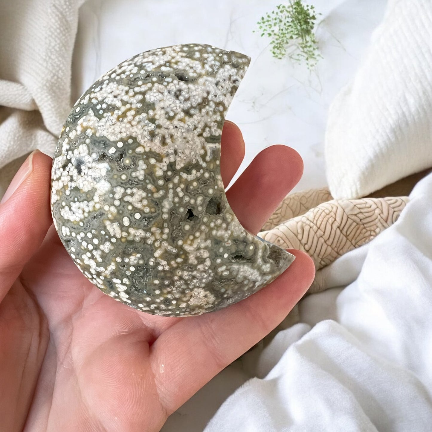 Ocean jasper moon