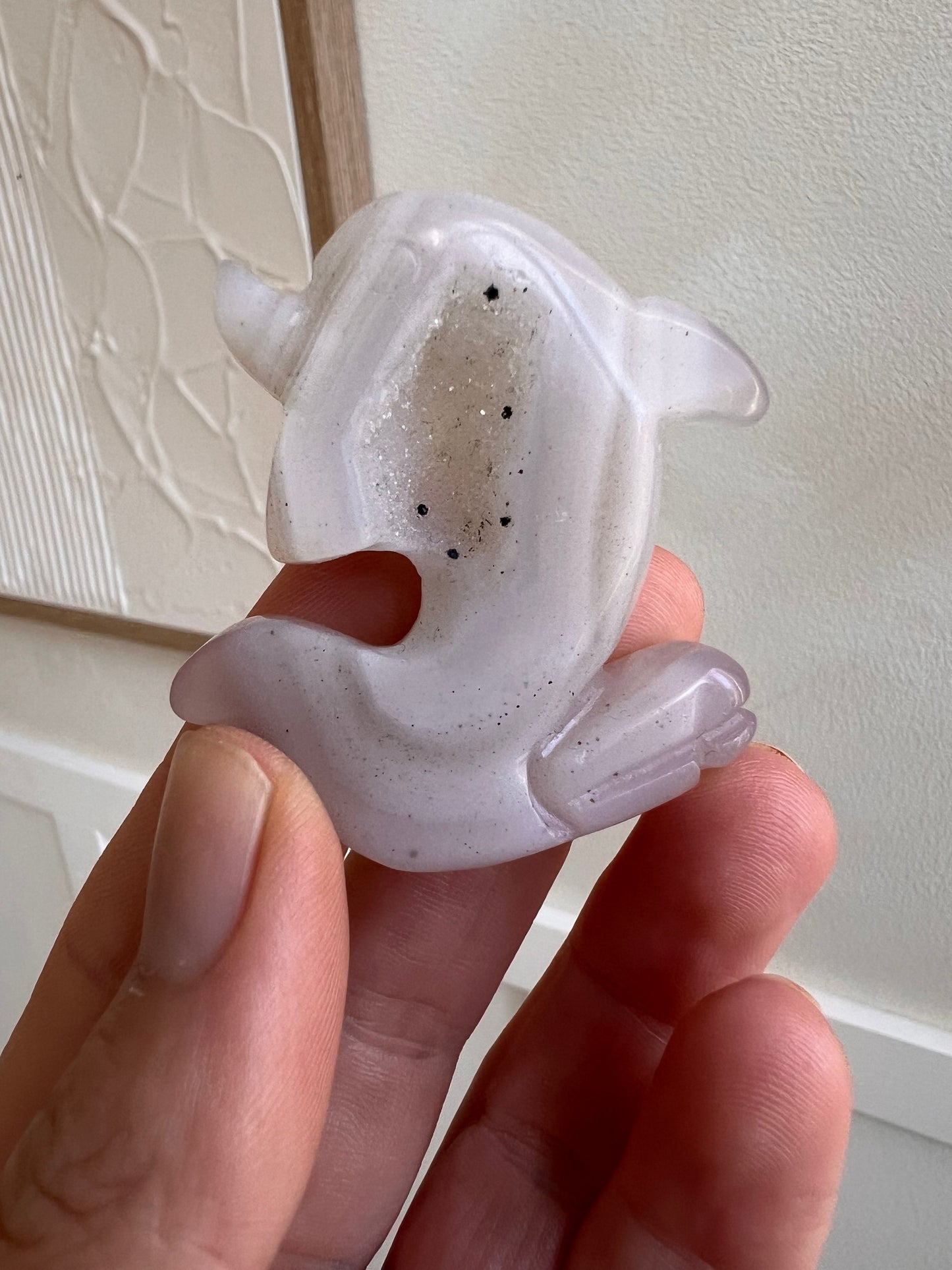 Drusy agate dolphin