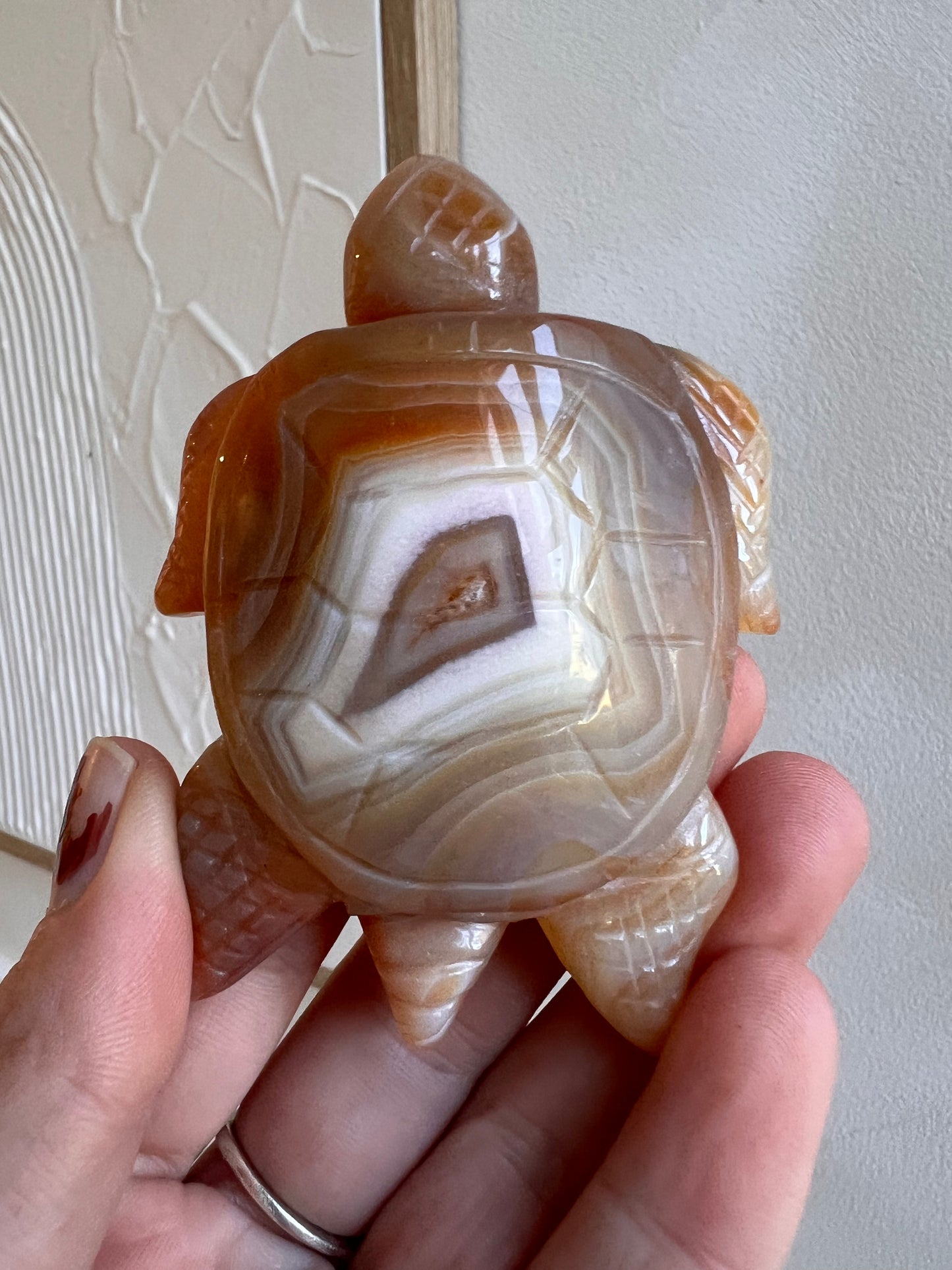 Carnelian turtle