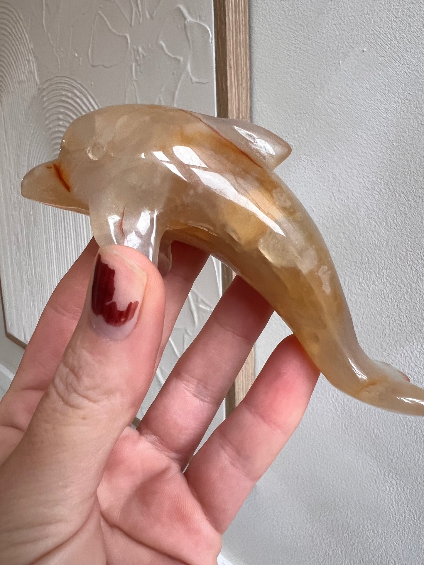 Carnelian dolphin