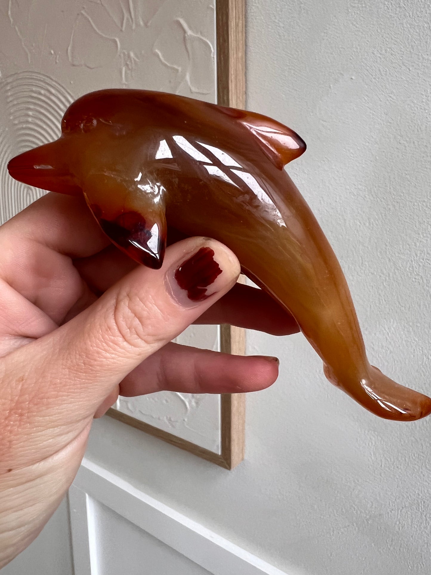Carnelian dolphin
