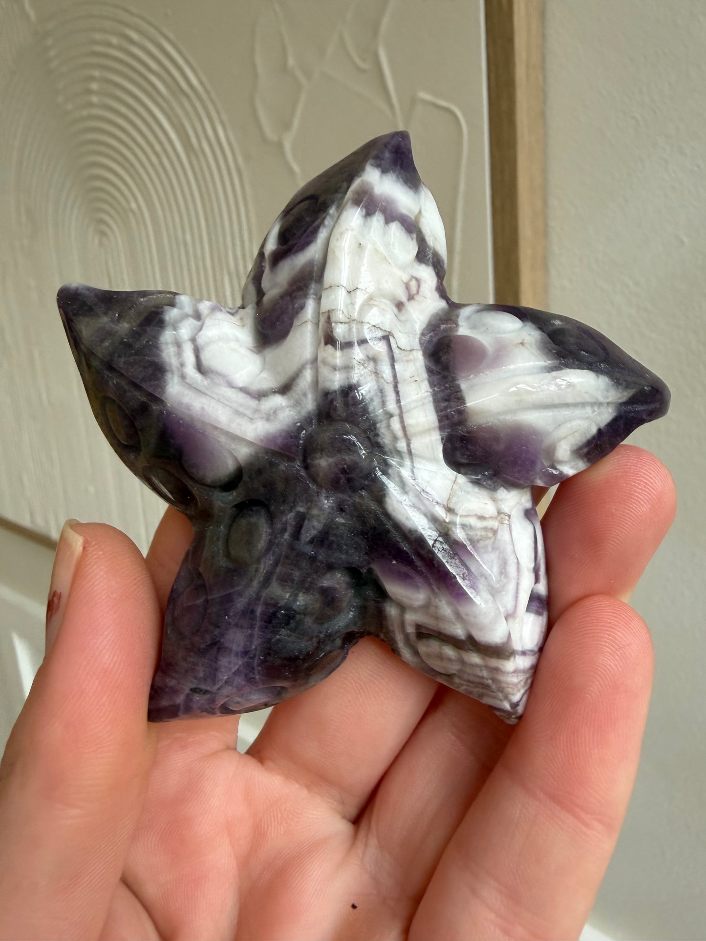 Dream amethyst starfish