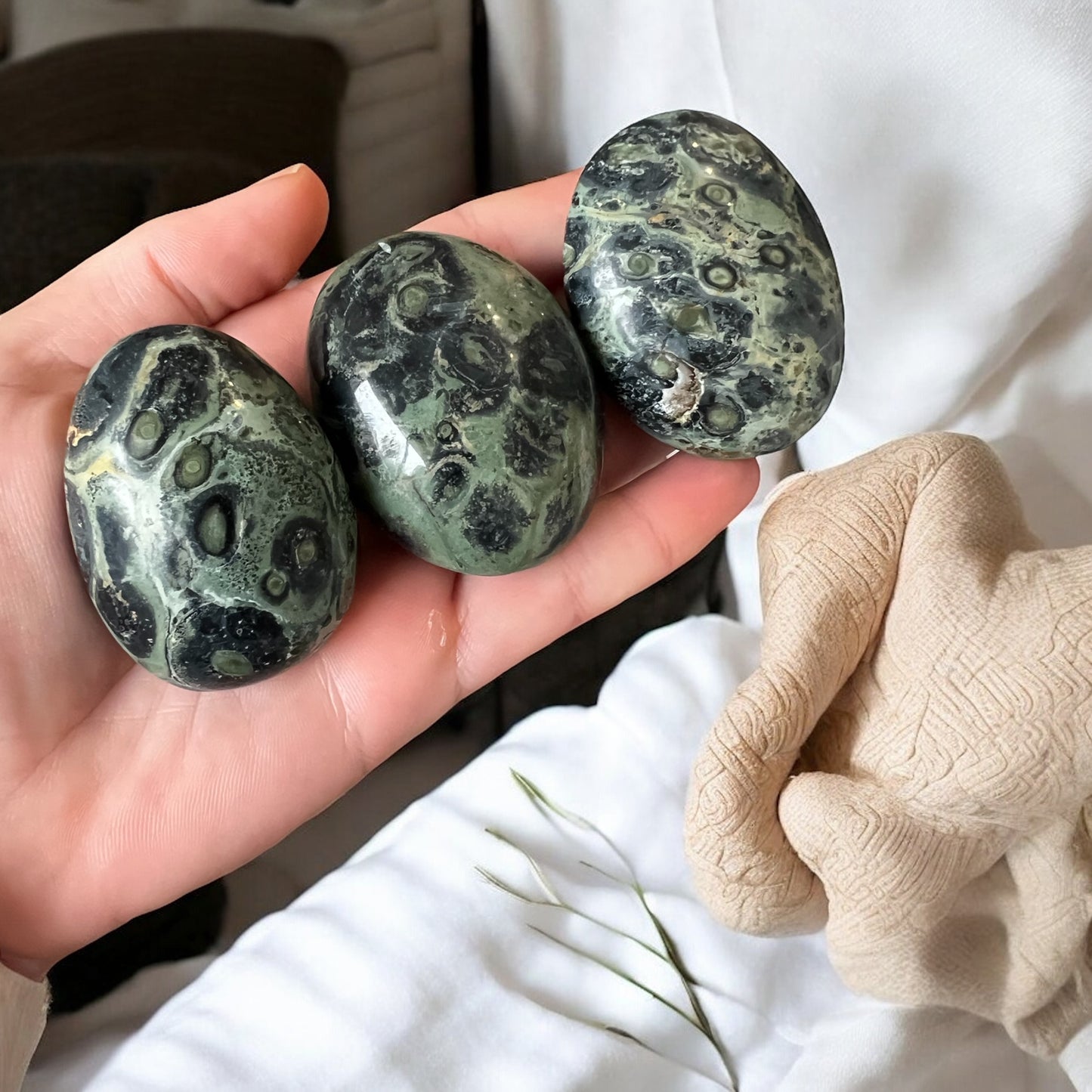Kambaba jasper palm stones intuitively chosen