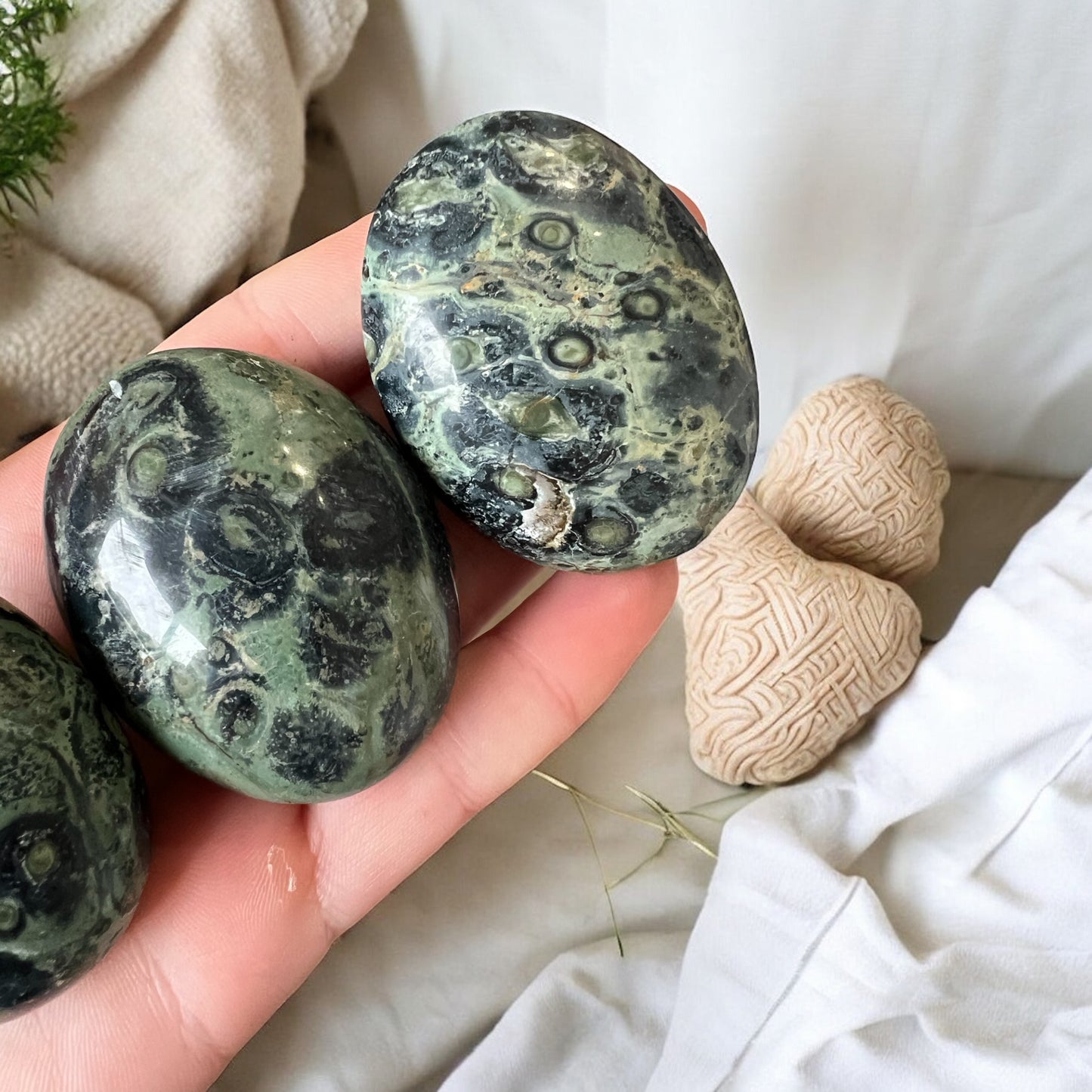 Kambaba jasper palm stones intuitively chosen