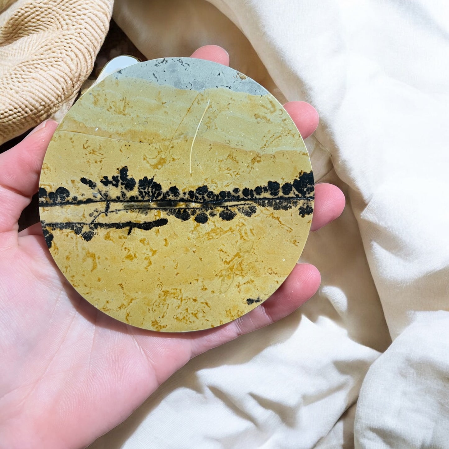 Picture jasper slab B