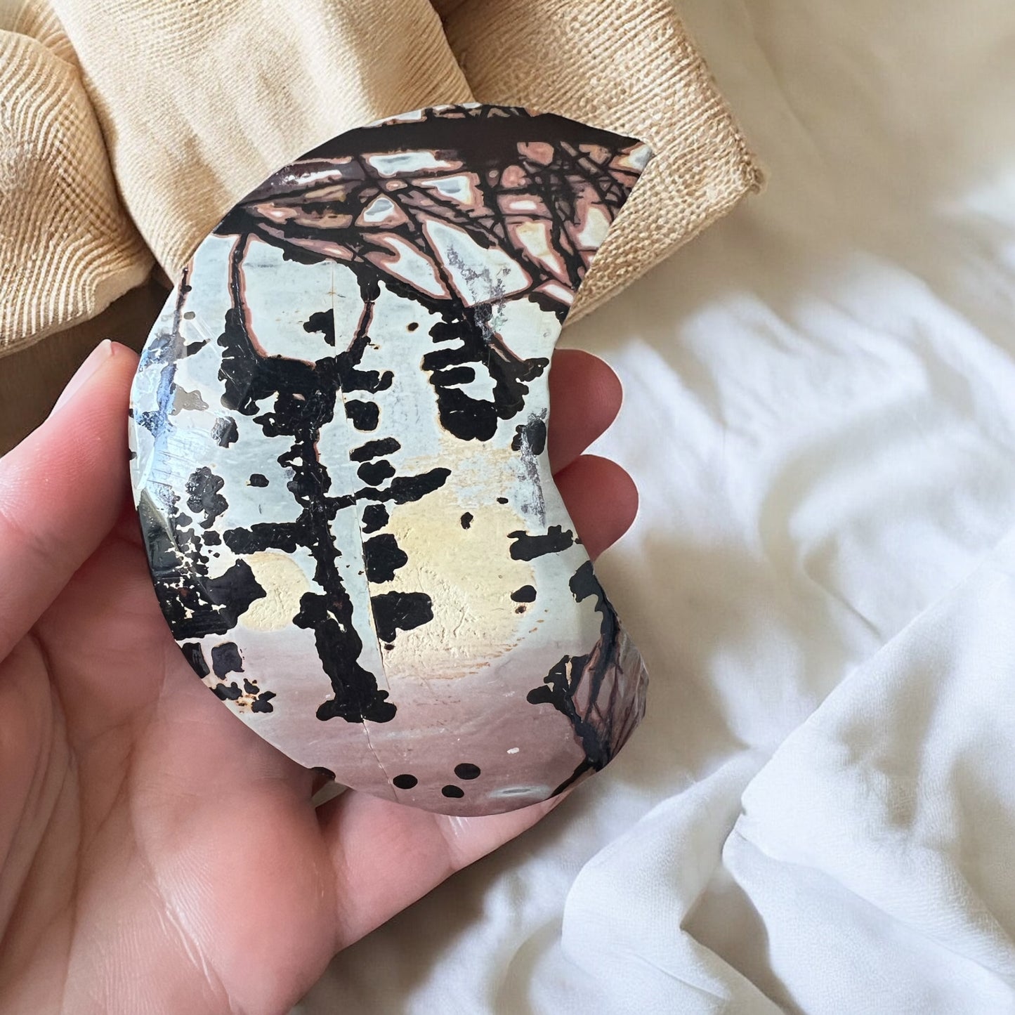Picture jasper moon