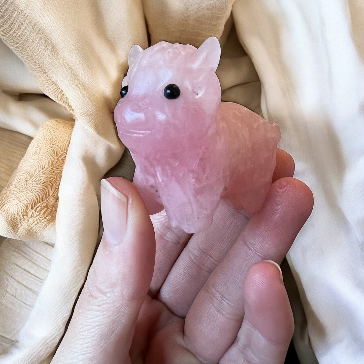 Rose Quartz highland cow