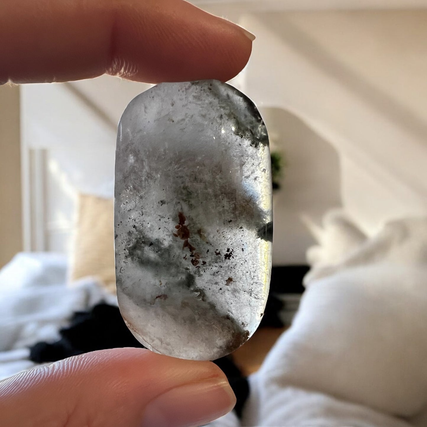 Garden quartz palm