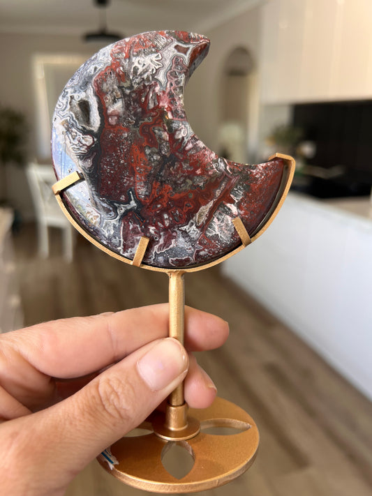 Mexican lace moons choose your own