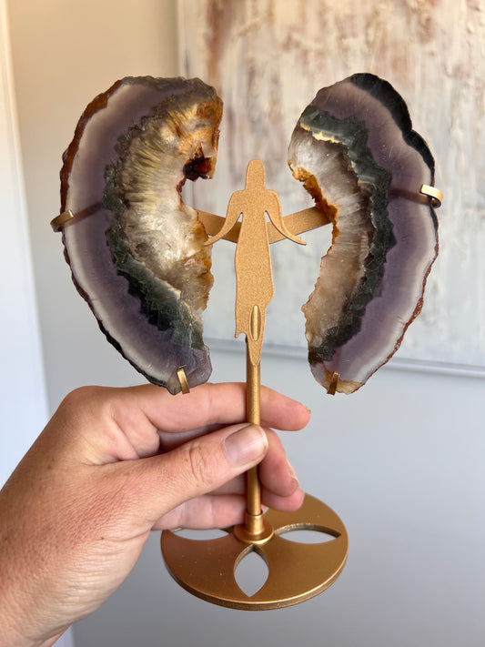 Fluorite pyrite rutile angel wings (unique ) 19-20cmH