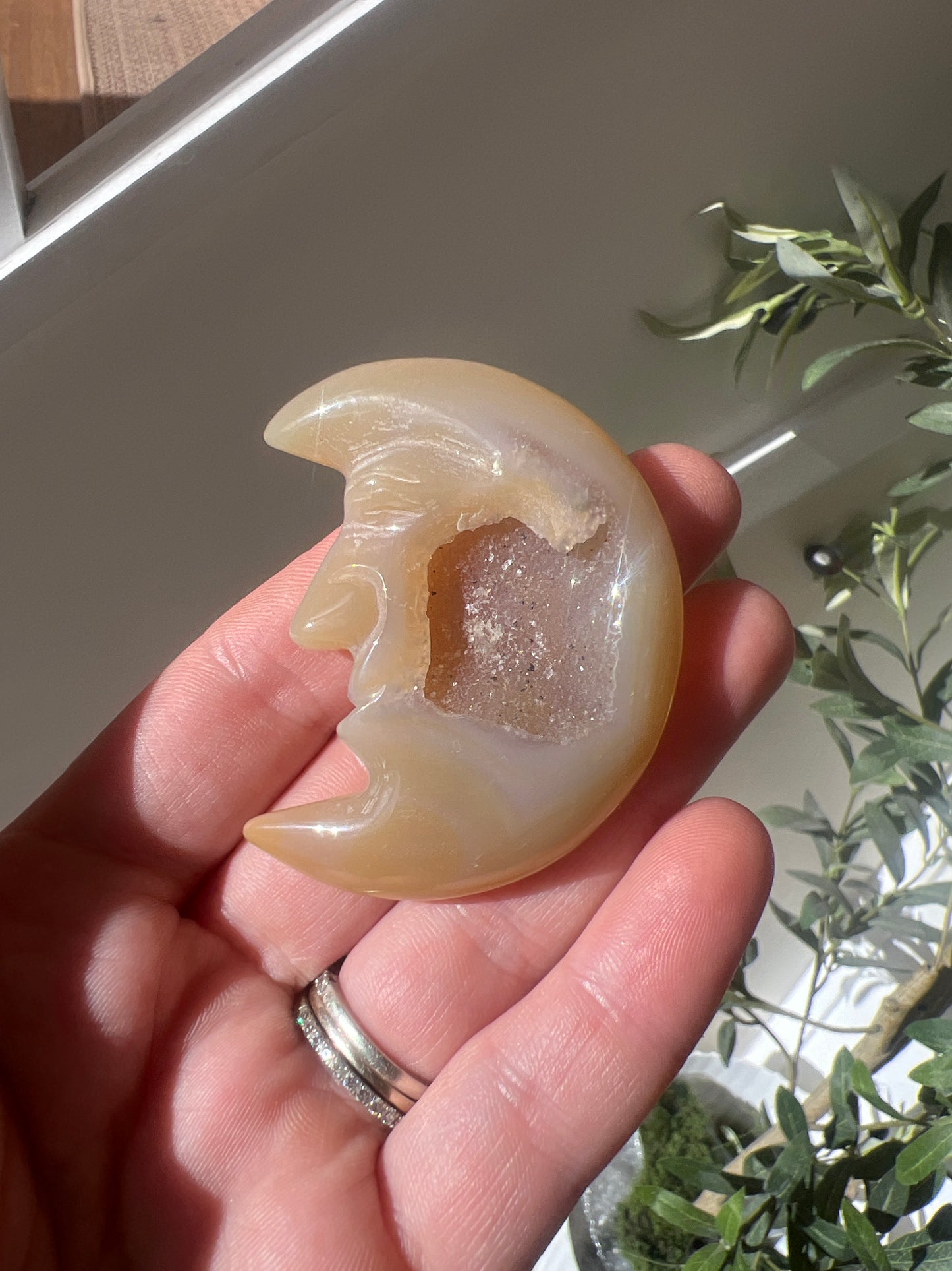 Bec Williams open box ⭐️