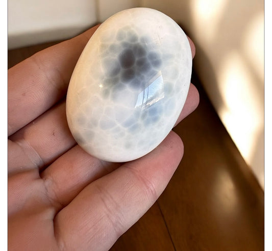 Orca agate palmstone