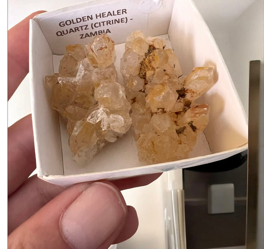 Golden healer citrine (Zambia) 2PC
