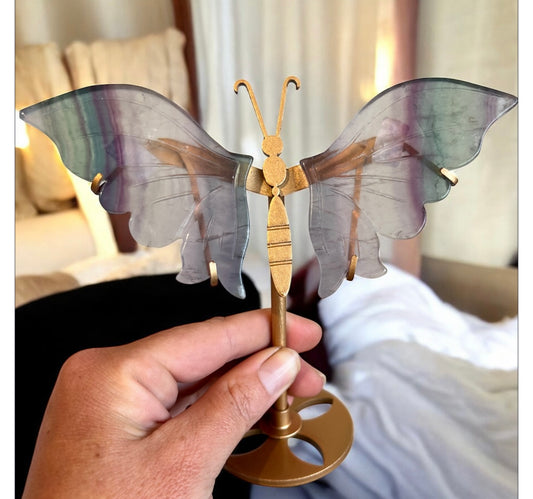 Fluorite butterfly wings