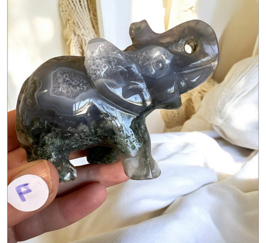 Moss agate elephant  F
