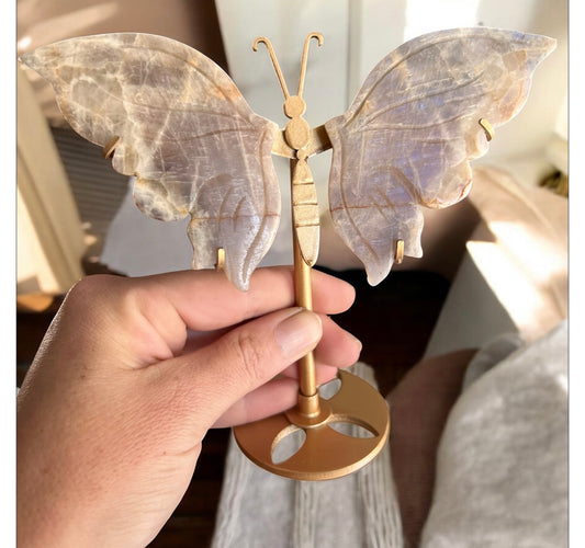 Sunstone moonstone butterfly wings