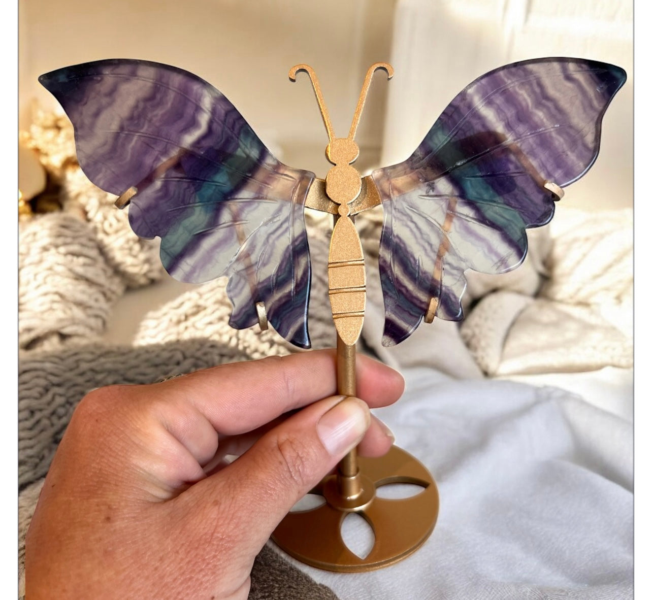 Fluorite butterfly wings