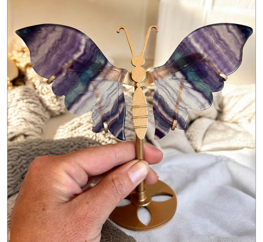 Fluorite butterfly wings