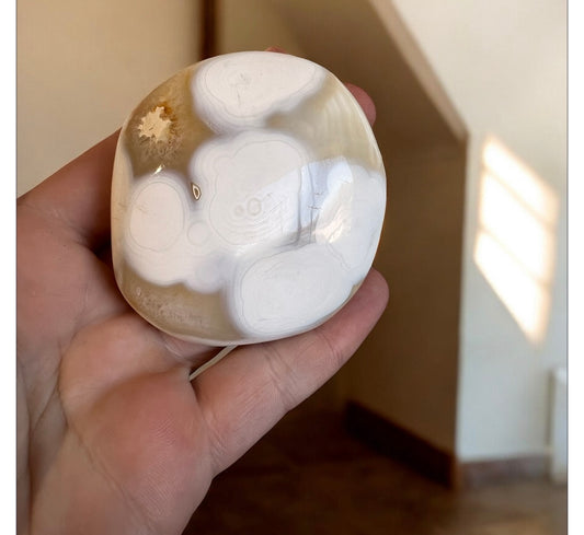 Orca agate palmstone