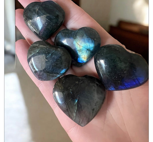 Flashy small lab hearts