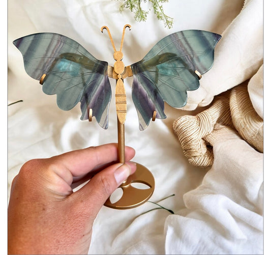 Fluorite butterfly wings