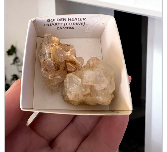 Golden healer citrine (Zambia) 2PC