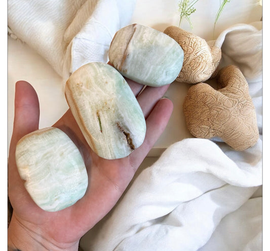 Caribbean calcite palms intuitively chosen