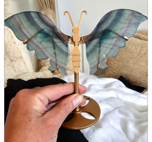 Fluorite butterfly wings
