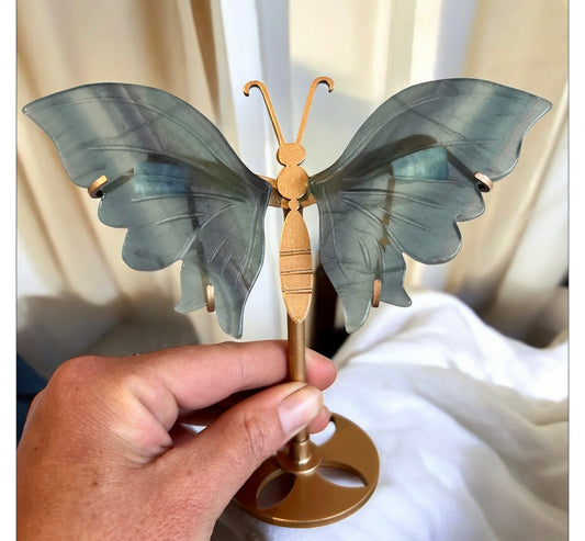 Fluorite butterfly wings