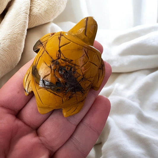 Mookite turtle
