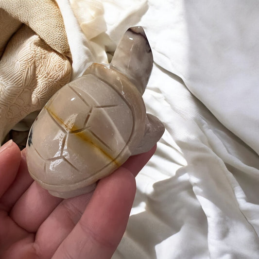 Mookite turtle