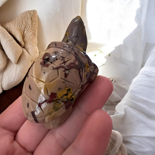 Mookite turtle