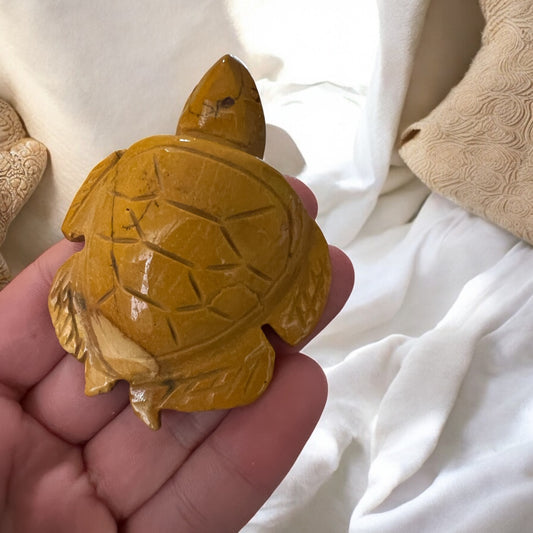 Mookite turtle