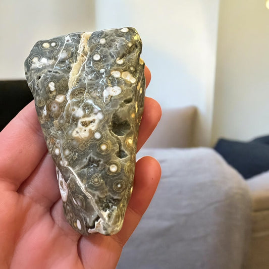 8 vein ocean jasper Freeform