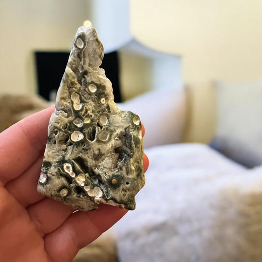 8 vein ocean jasper Freeform