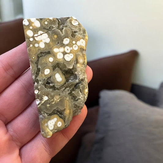 Ocean jasper Freeform