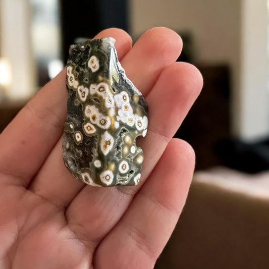 8 vein ocean jasper Freeform